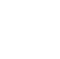 PUNX_WebLogos_0011_Sm-Logo